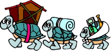 tortues